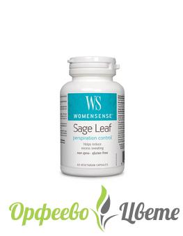 ХРАНИТЕЛНИ ДОБАВКИ Женско здраве  Sage Leaf WomenSense®/ Салвия/ Градински чай (лист) 350 mg х 60 капсули 